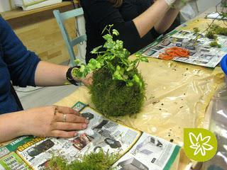 El arte de los jardines kokedama