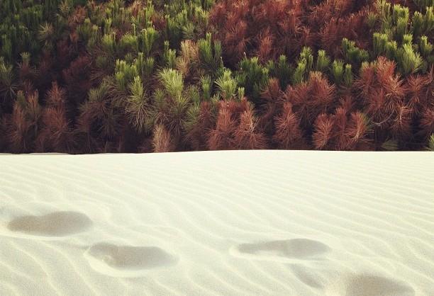 Control y autoestima.