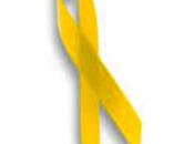 Solidarios hasta médula