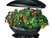 Aerogarden: jardín doméstico inteligente