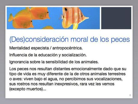 Los peces son seres sintientes Los peces son seres sintientes