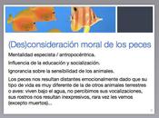 peces seres sintientes
