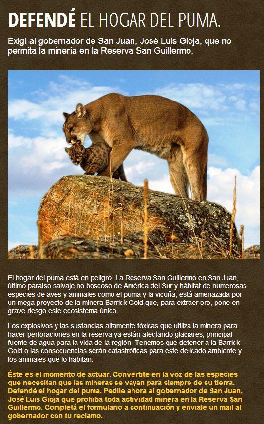 ACTIVISTAS DE GREENPEACE DETENIDOS EN SAN JUAN POR UNA PROTESTA CONTRA LA MINERÍA