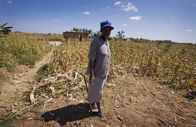 Friday Pic: Zimbabwe