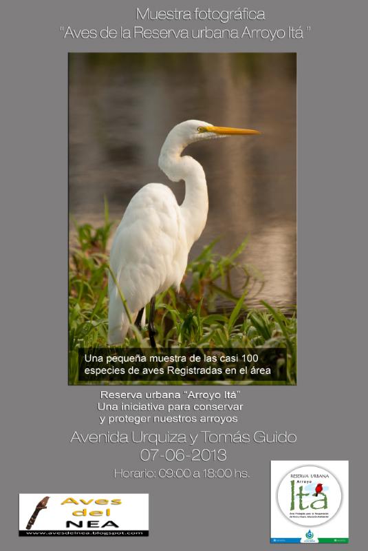 folleto expo itásmall