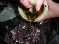 PULPITOS ASADO CON CERVEZA