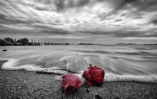 Se buscan creadores. Razón: La Red