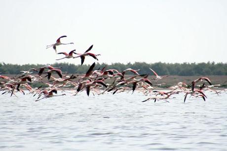 Visitar Villacañas. Mi Pueblo.