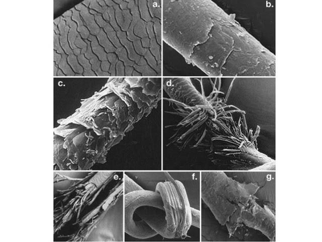 Presentación y Sorteo Kera-Liso, ¿De qué lacio estás?