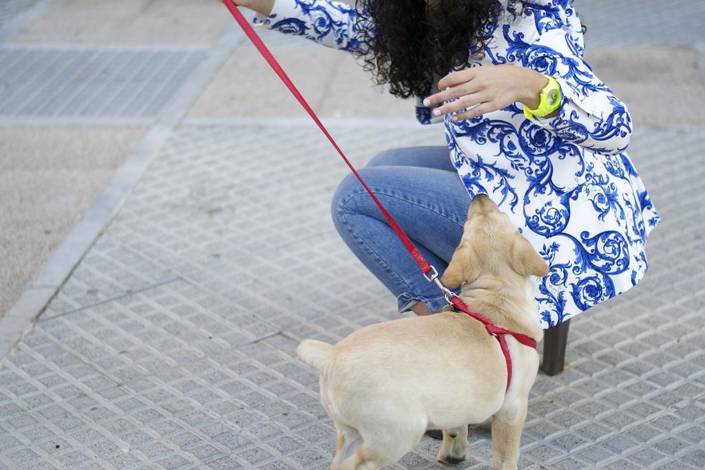 ¡Vamos de paseo! paseo9