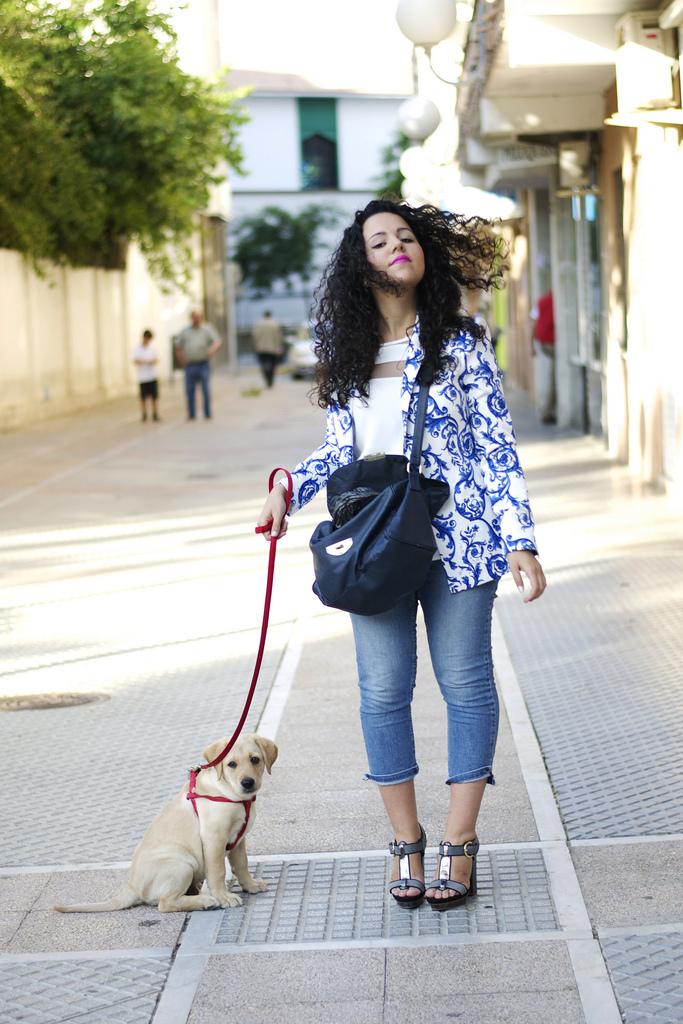 ¡Vamos de paseo! paseo1