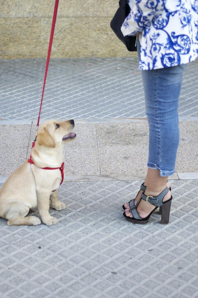 ¡Vamos de paseo! paseo6