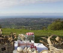 Planes con niños en Asturias del 7 de Junio al 14 de Junio
