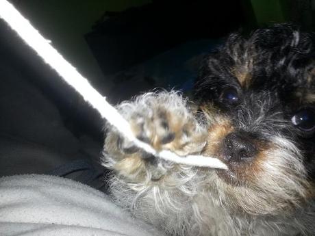 Androidografia Barakaldo CCLXIV. Kenya IV Androidografia Barakaldo 1350