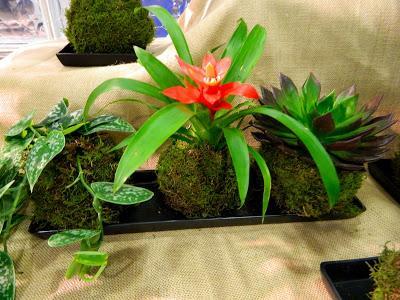 DO IT YOURSELF! Parte I y lo que te rondaré morena.