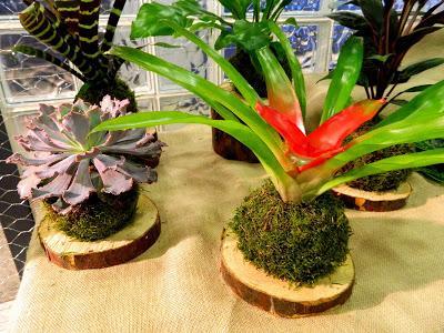 DO IT YOURSELF! Parte I y lo que te rondaré morena.