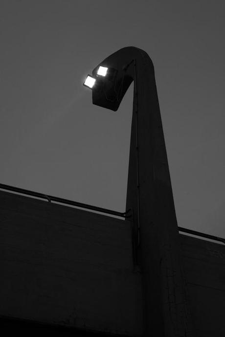 nuncalosabre.Fotografía - Florian Maas 