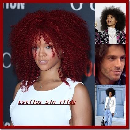 cats thumb7 Regresa el pelo Afro