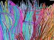 Muse Madness sábados musicales