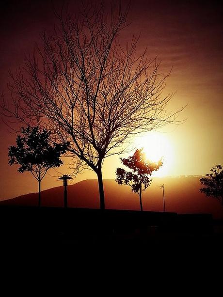 Androidografia Barakaldo 1353