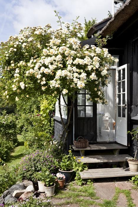 Disfrutando de los Primeros Días de Buen Tiempo