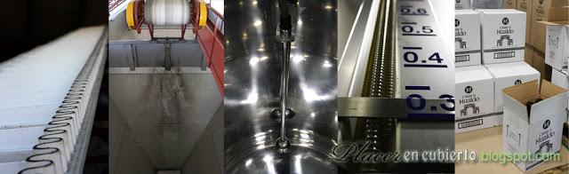 Casas de Hualdo: entre olivos