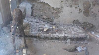 ZULO,  VIVÍA ENCERRADO Y EN OSCURIDAD..