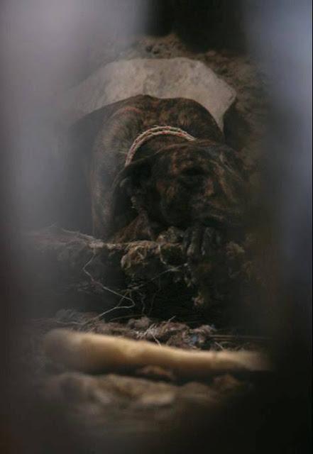 ZULO,  VIVÍA ENCERRADO Y EN OSCURIDAD..