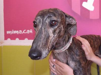 ZULO,  VIVÍA ENCERRADO Y EN OSCURIDAD..