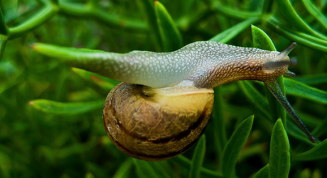 Hazlo al revés: empezar desde cero al reves