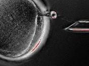 Clonación terapéutica consigue humanos