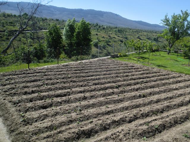 Llévame al huerto