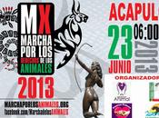 Evento Marcha Animales Junio