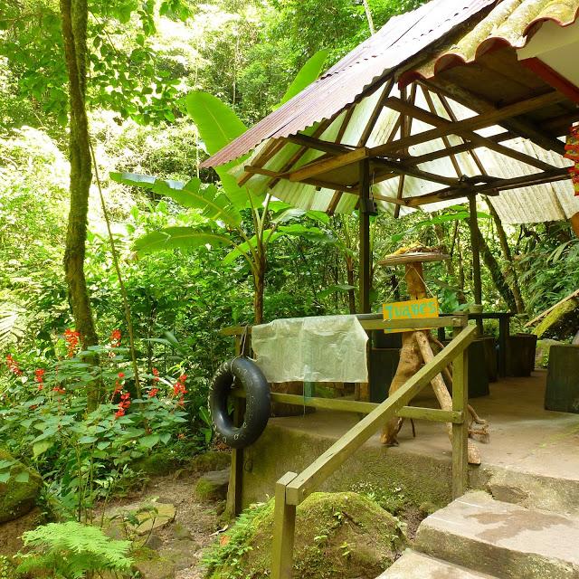 Cataratas de Ahuashiyacu, Perú
