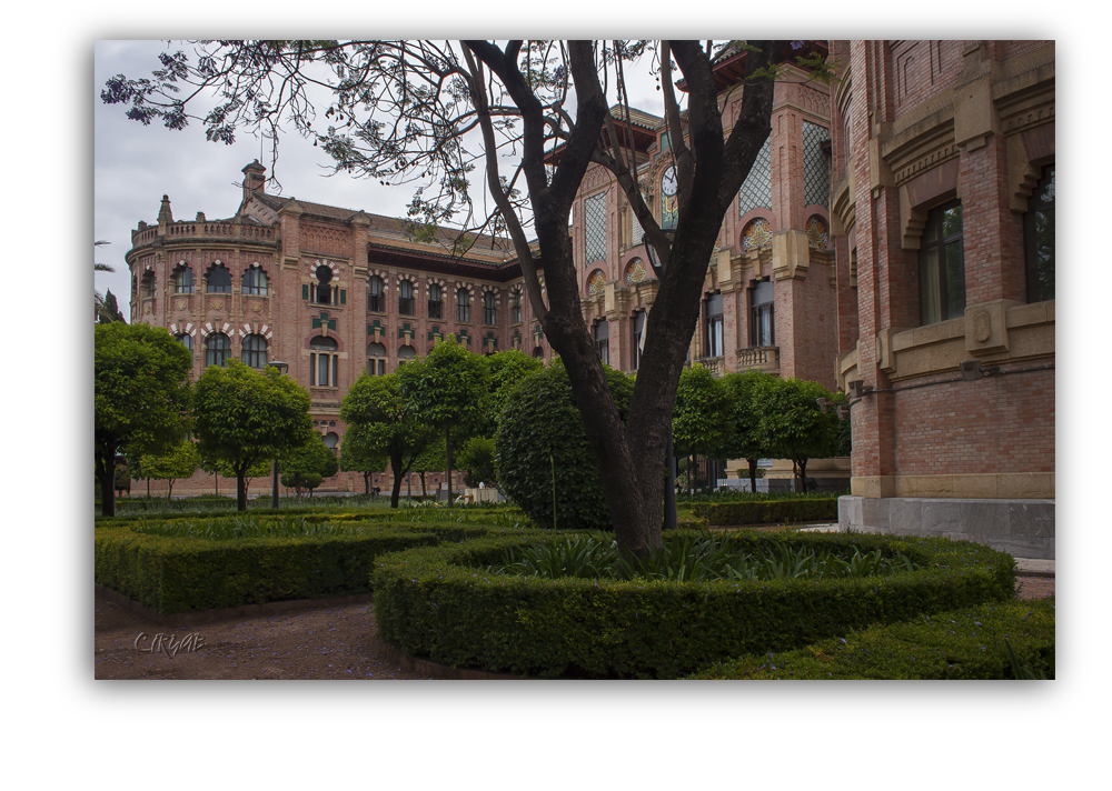 Facultad Veterinaria de Córdoba