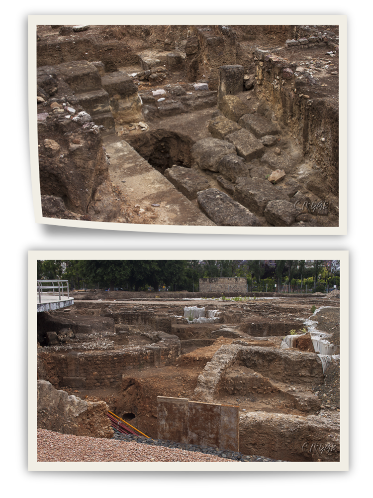 Facultad Veterinaria de Córdoba