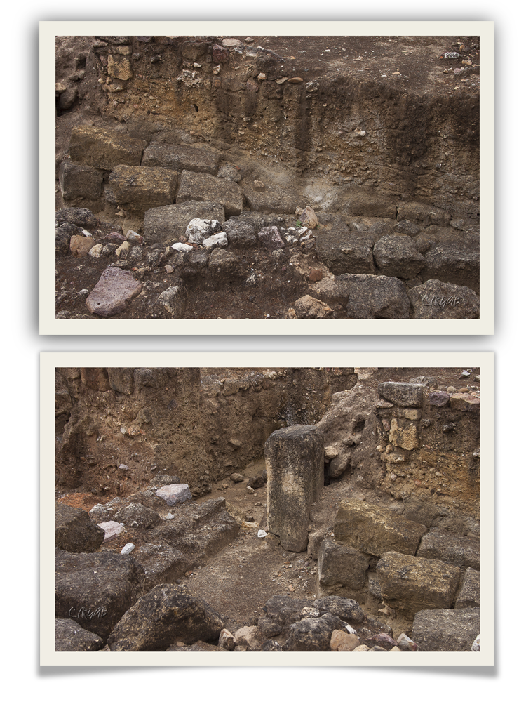 Facultad Veterinaria de Córdoba