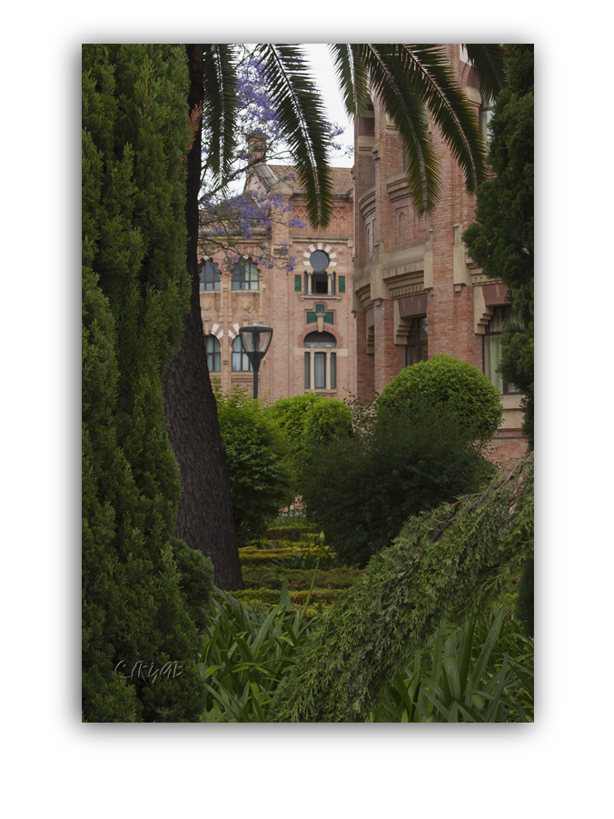 Facultad Veterinaria de Córdoba
