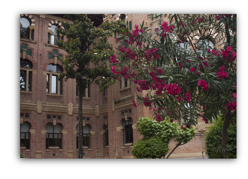 Facultad Veterinaria de Córdoba