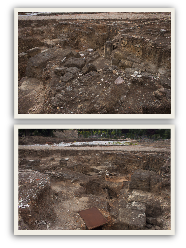 Facultad Veterinaria de Córdoba