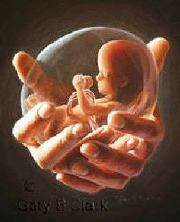 Conoces el Virus Sabio?  interesante artículo del Sr. Julio César Centeno