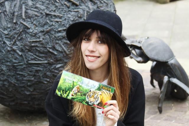 Let´s go to the zoo