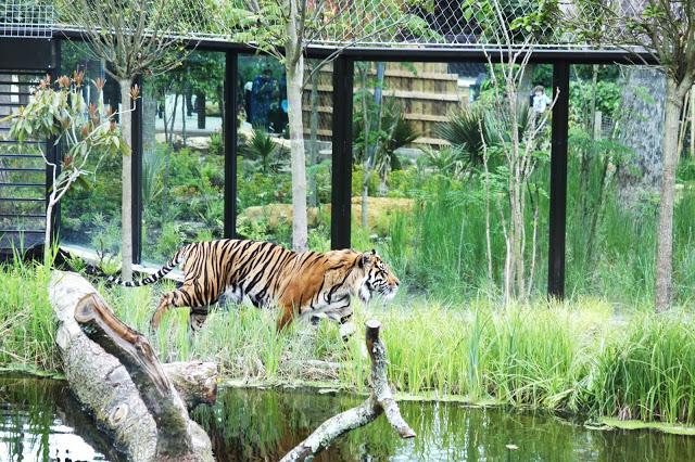 Let´s go to the zoo