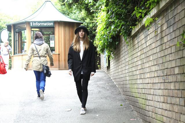 Let´s go to the zoo