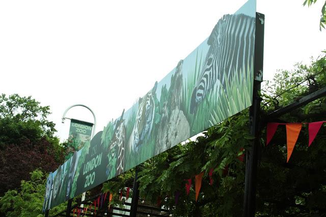 Let´s go to the zoo