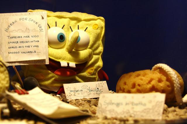 Let´s go to the zoo