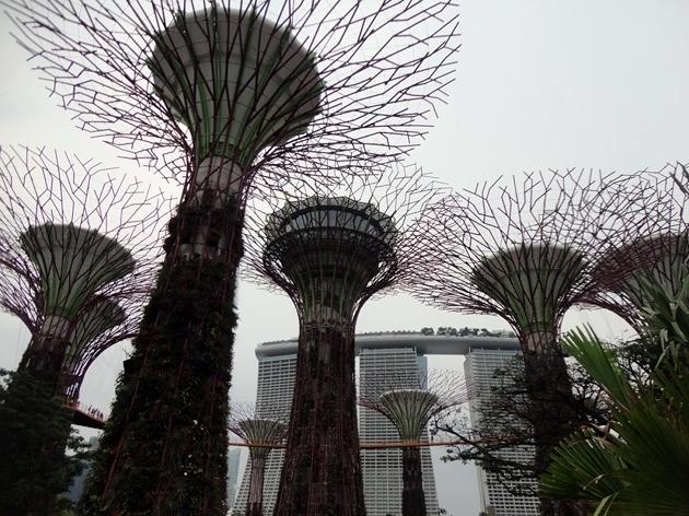 Gardens by the Bay Singapur 
