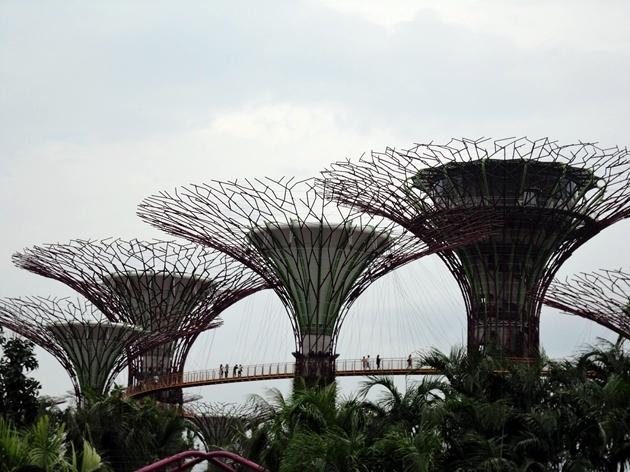 Gardens by the Bay Singapur 