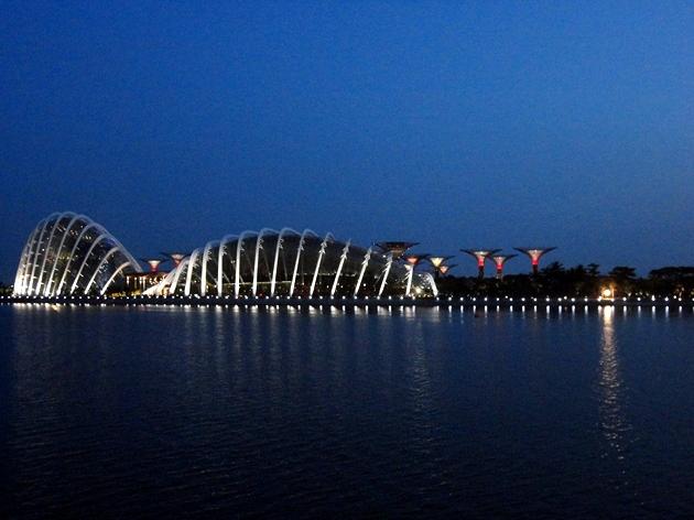 Gardens By the Bay de noche