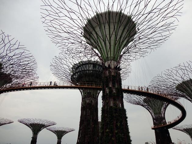 Gardens by the Bay Singapur 